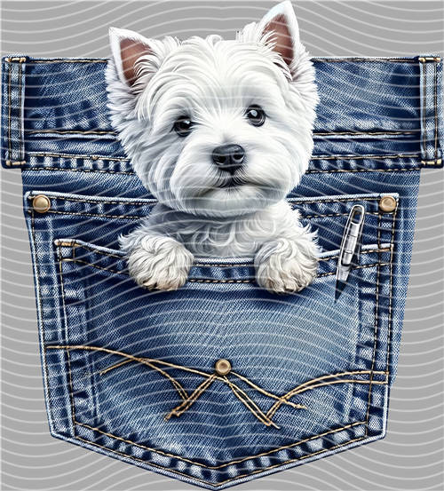 Street design-JT 3443